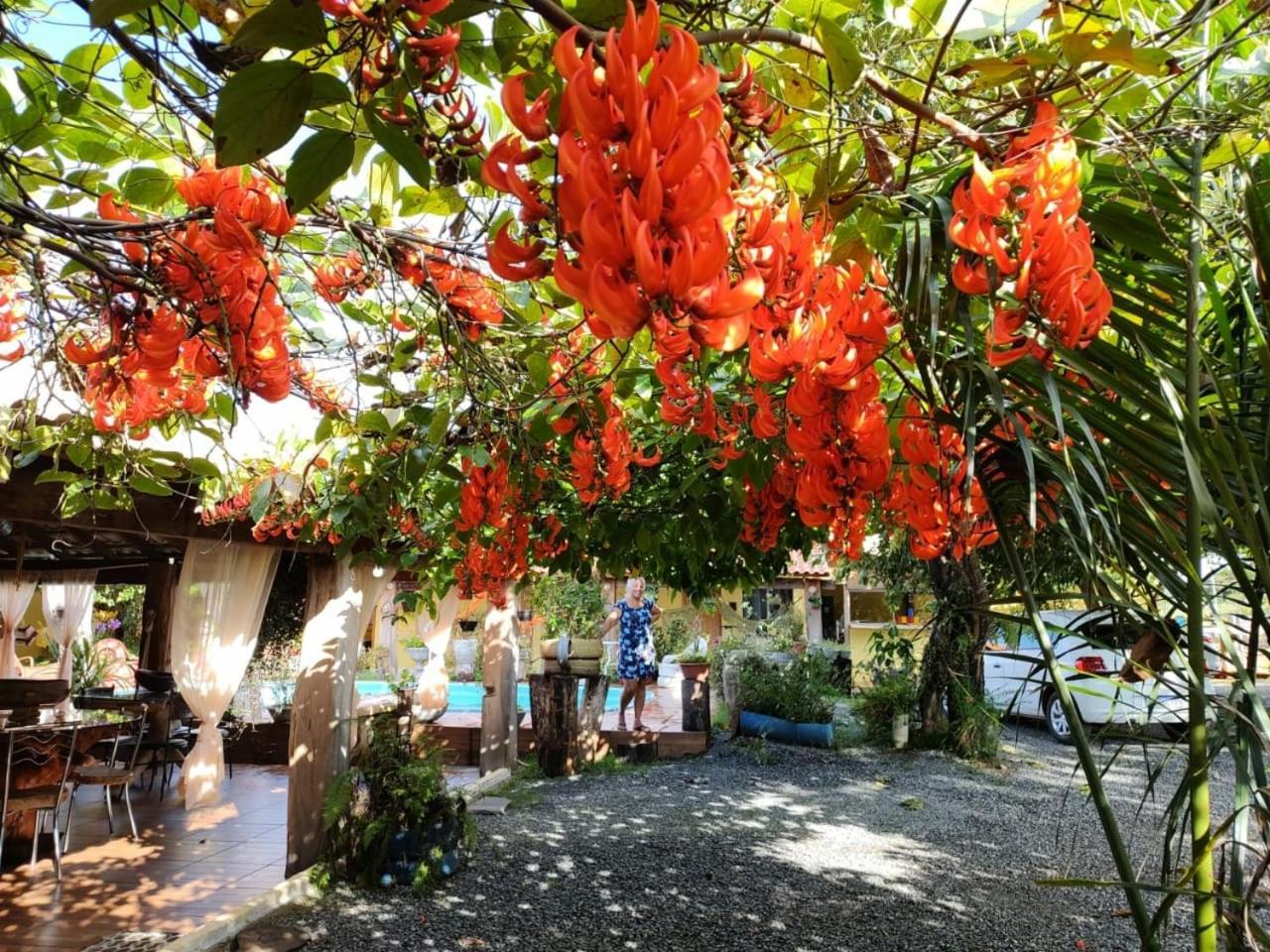Pousada Cantinho De Casa 诺布里斯 外观 照片